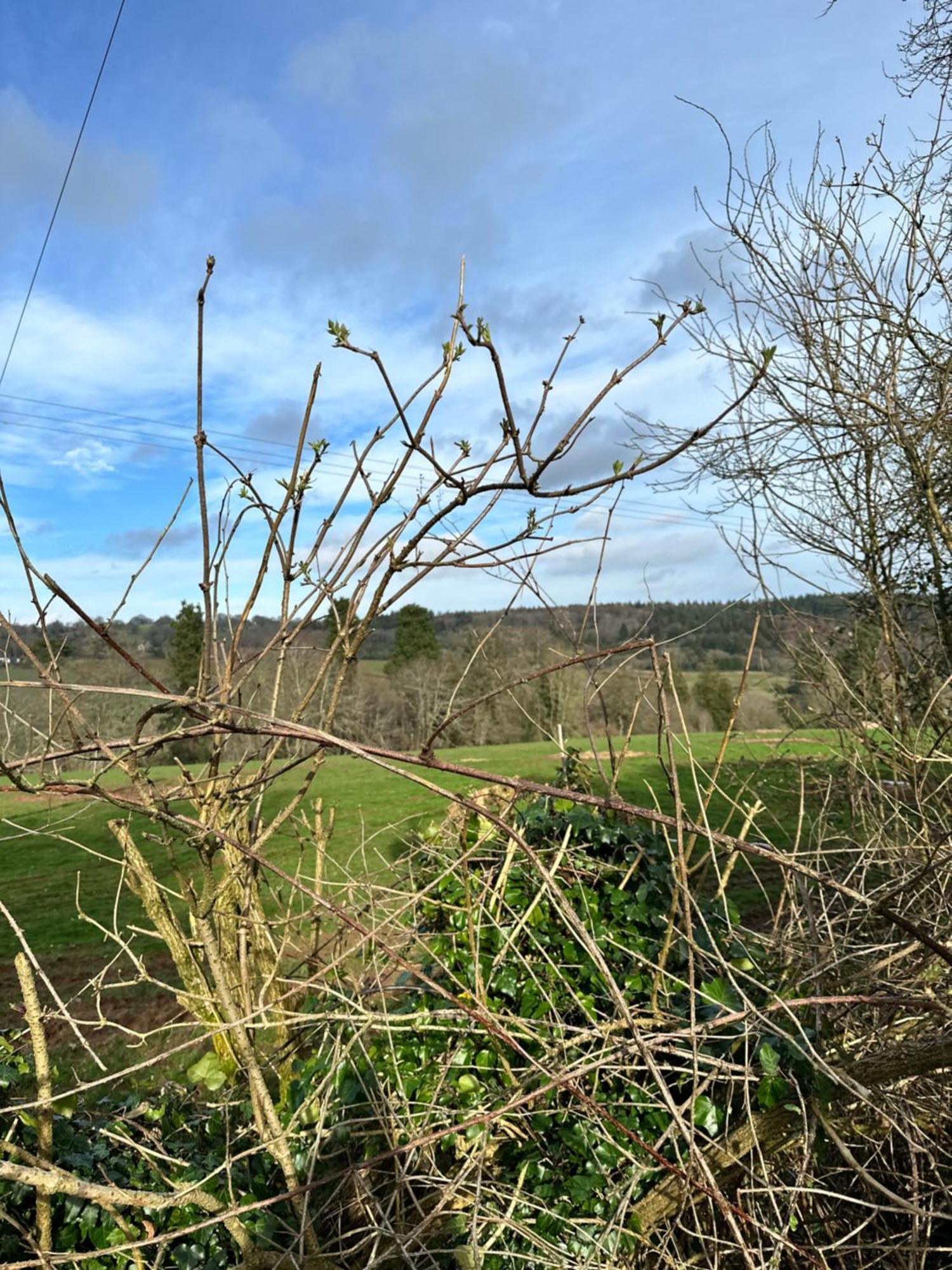 Green Pasture 多贝赫 外观 照片